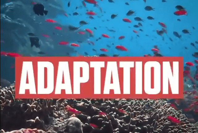 Four Goals for #COP26 Adaptation