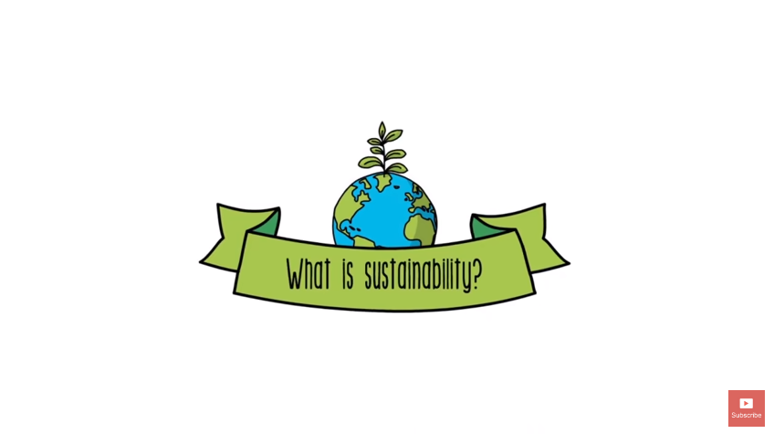 Lissa’s Friday Blog Series 2 – Exploring what is meant by ‘sustainability’