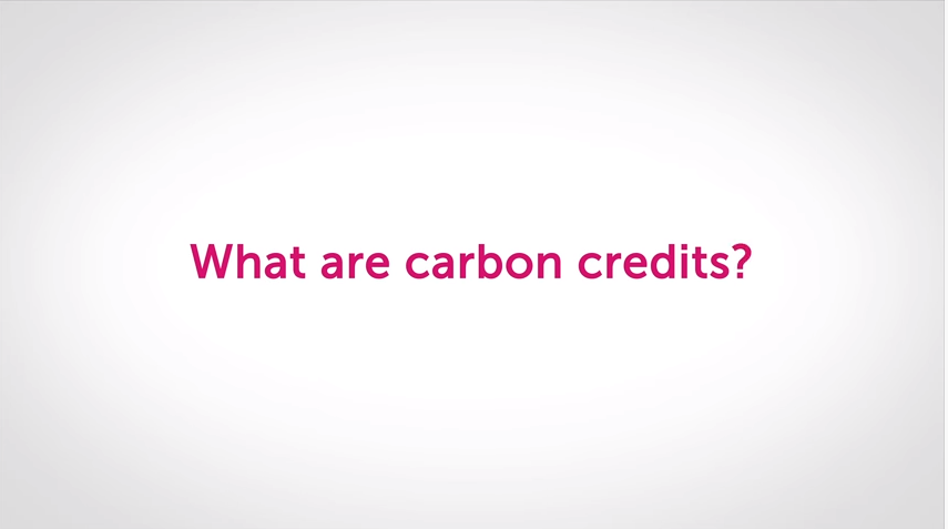 Lissa’s Friday Blog: What are carbon offsets and how do they work?