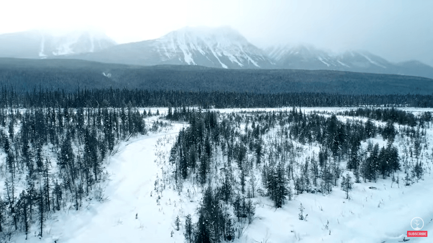 Lissa’s Friday blog: What is Deforestation?