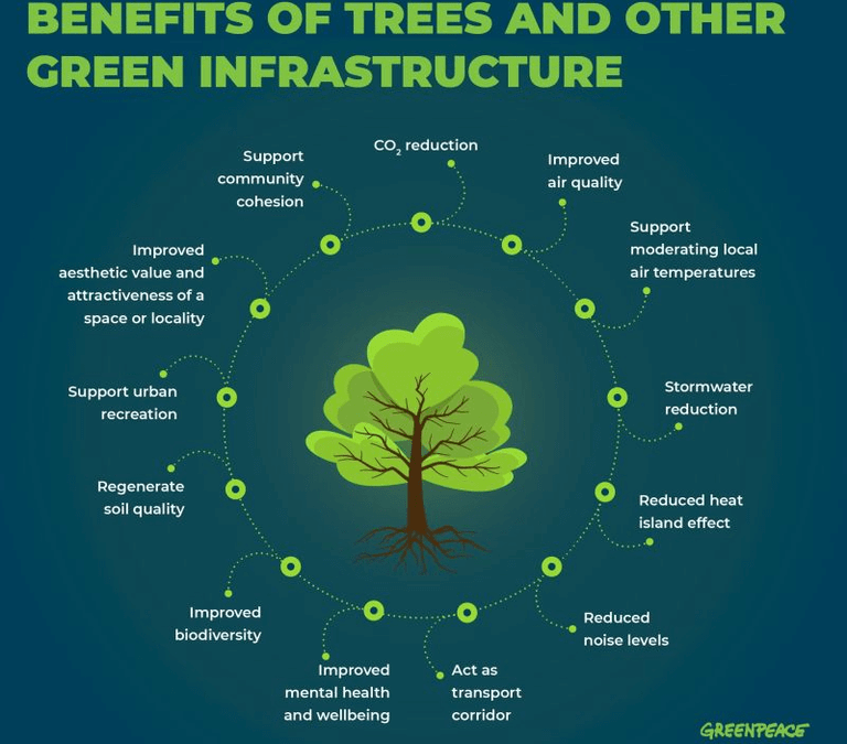 Discover the many benefits of trees and other green infrastructure via