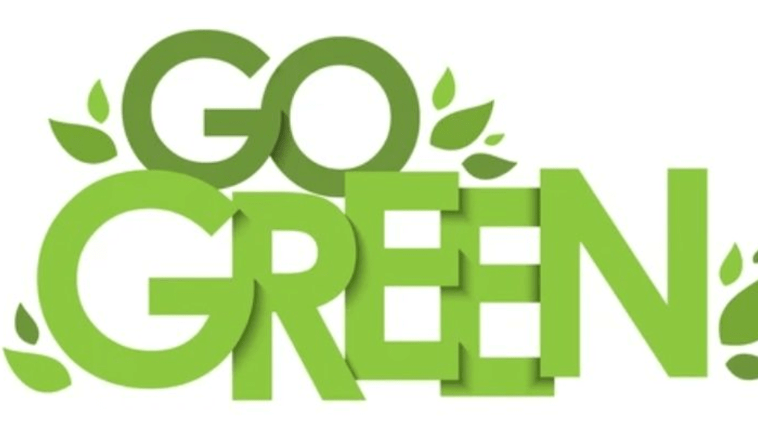 Friday Blog Series 3: Be Clean, Go Green!