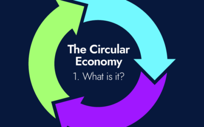 The circular economy – 1. What is it?